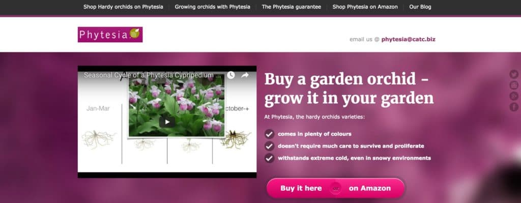 Phytesia UK - Catalog Machine Learning
